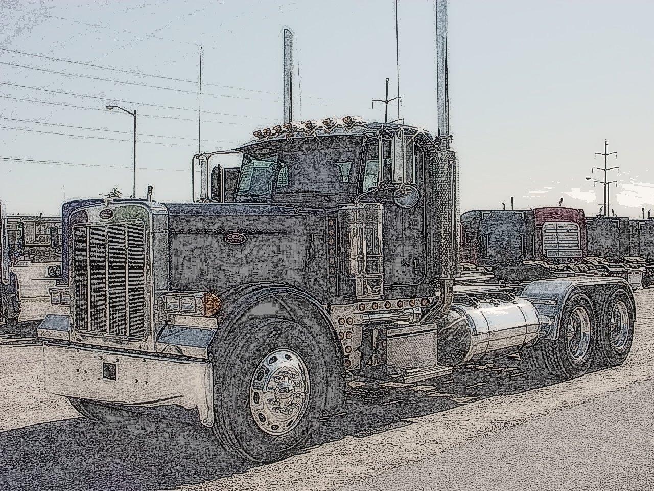 Black Beauty